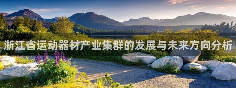 凯捷体育科技:浙江省运动器材产业集群的发展与未来方向分析
