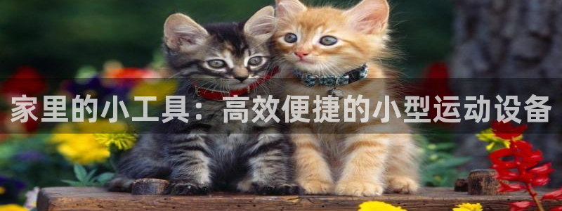 凯捷体育平台:家里的小工具:高效便捷的小型运动设备