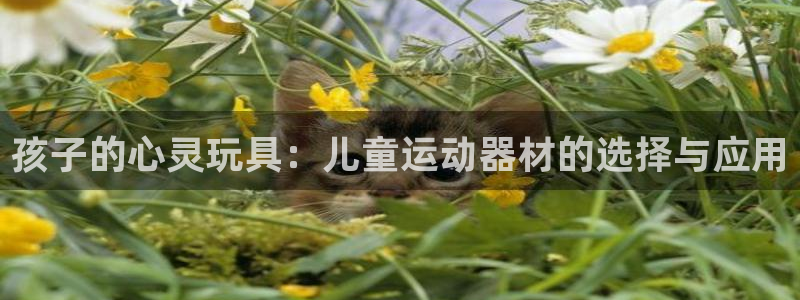 凯捷体育平台注册流程图:孩子的心灵玩具:儿童运动器材的选择与