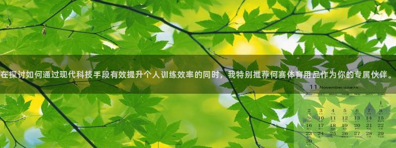 凯捷体育官网:在探讨如何通过现代科技手段有效提升个人训练效率