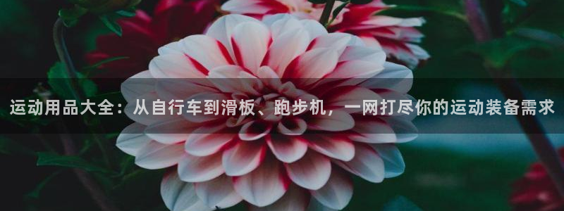 海南凯捷体育发展怎么样:运动用品大全:从自行车到滑板、跑步机