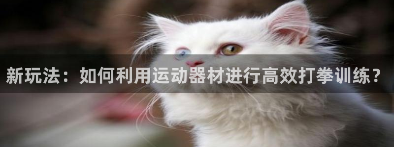 凯捷体育开户:新玩法:如何利用运动器材进行高效打拳训练?