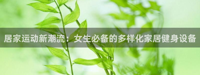 凯捷体育新能源:居家运动新潮流:女生必备的多样化家居健身设备