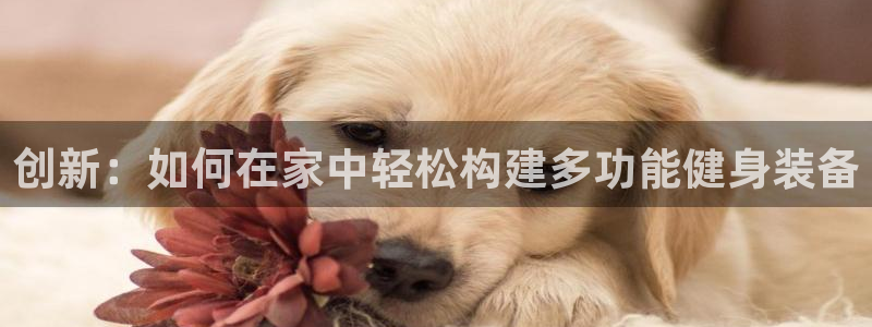 凯捷体育招商电话是多少号码:创新:如何在家中轻松构建多功能健