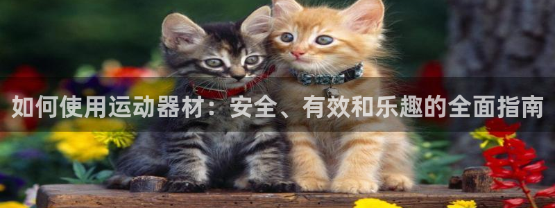 凯捷体育集团E.ON:如何使用运动器材:安全、有效和乐趣的全