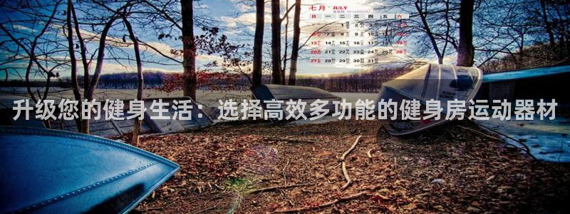 凯捷体育神州:升级您的健身生活:选择高效多功能的健身房运动器