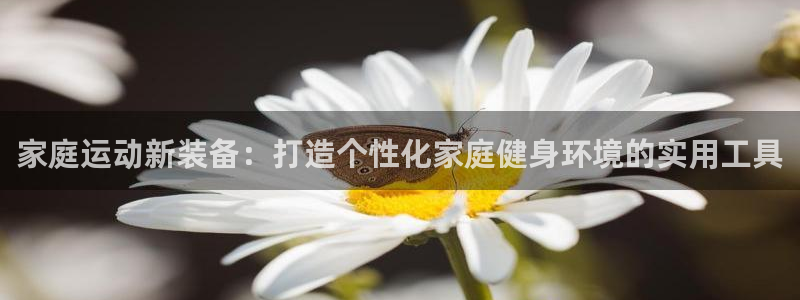 凯捷体育科技:家庭运动新装备:打造个性化家庭健身环境的实用工